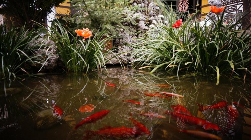 Lijiang Wangjia Courtyard Inn מראה חיצוני תמונה