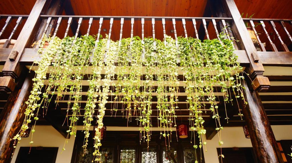 Lijiang Wangjia Courtyard Inn מראה חיצוני תמונה